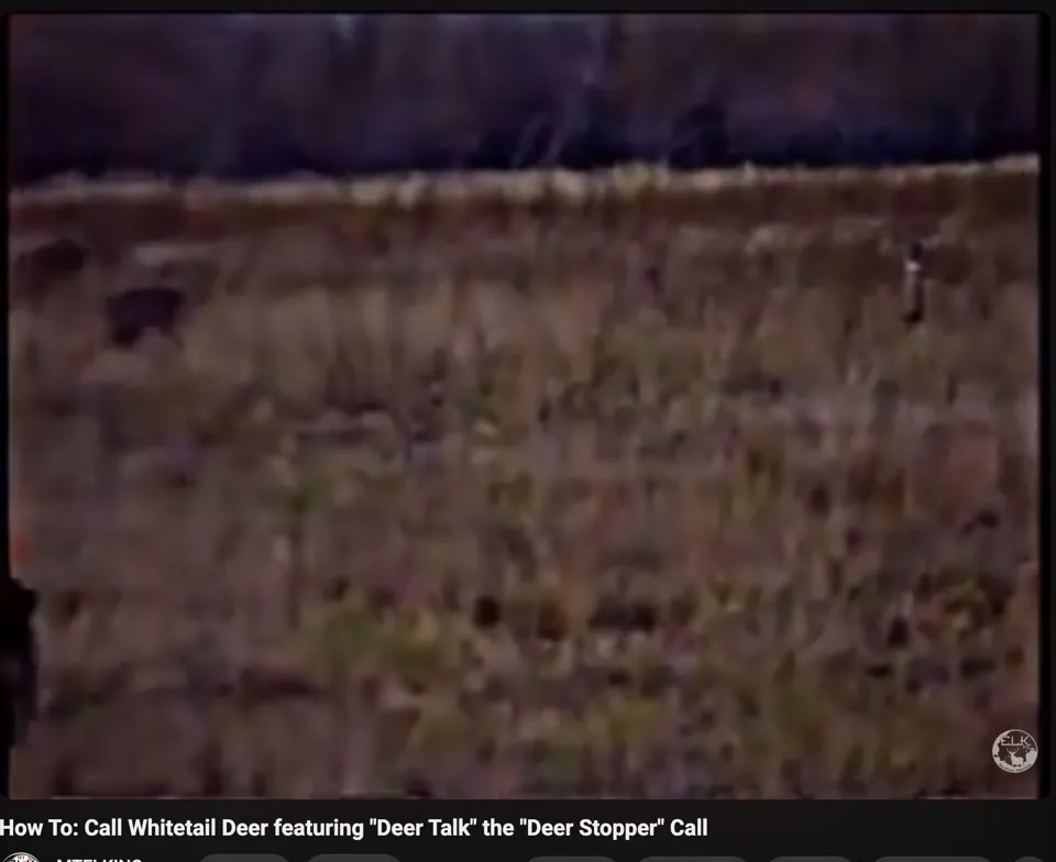 Aperçu vidéo de démonstration Deer Talk